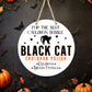 Black Cat Cauldron Polish - 10" Round Door Hanger