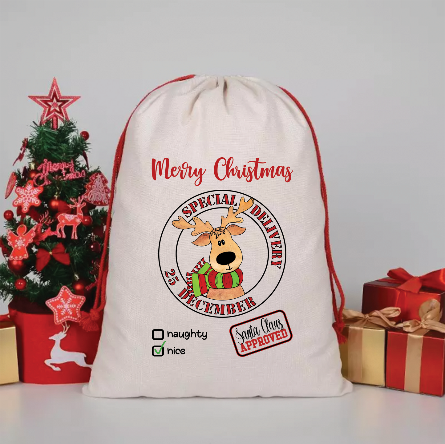 Special Delivery December 25th - Christmas Canvas Drawstring Bag