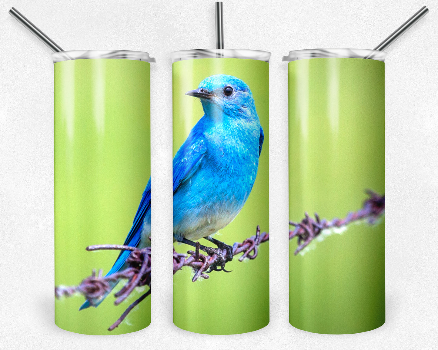 Little Blue Bird 20oz Skinny Tumbler