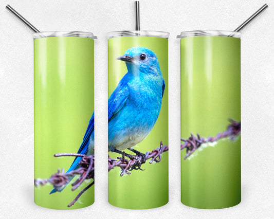 Little Blue Bird 20oz Skinny Tumbler